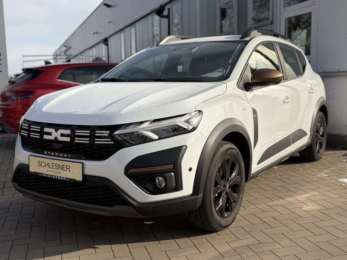 Fahrzeugbild eines Dacia Sandero