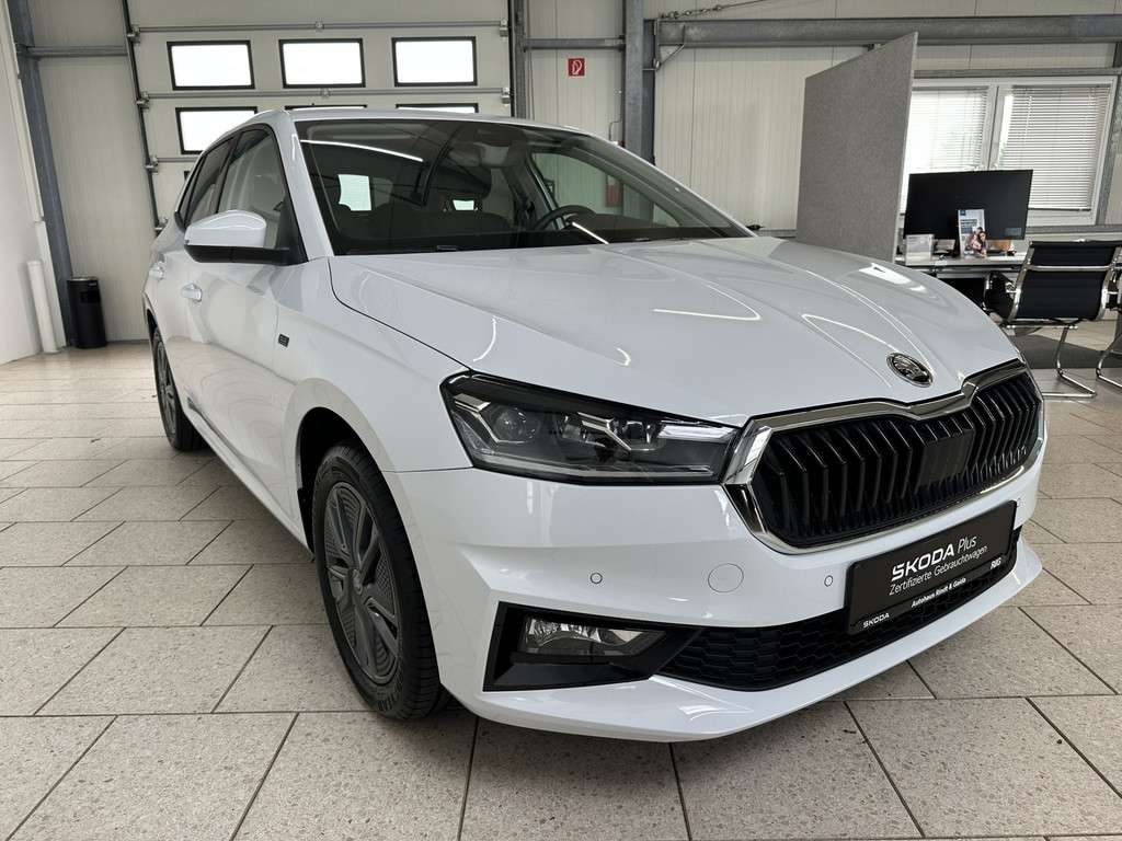 Fahrzeugbild eines Skoda Fabia