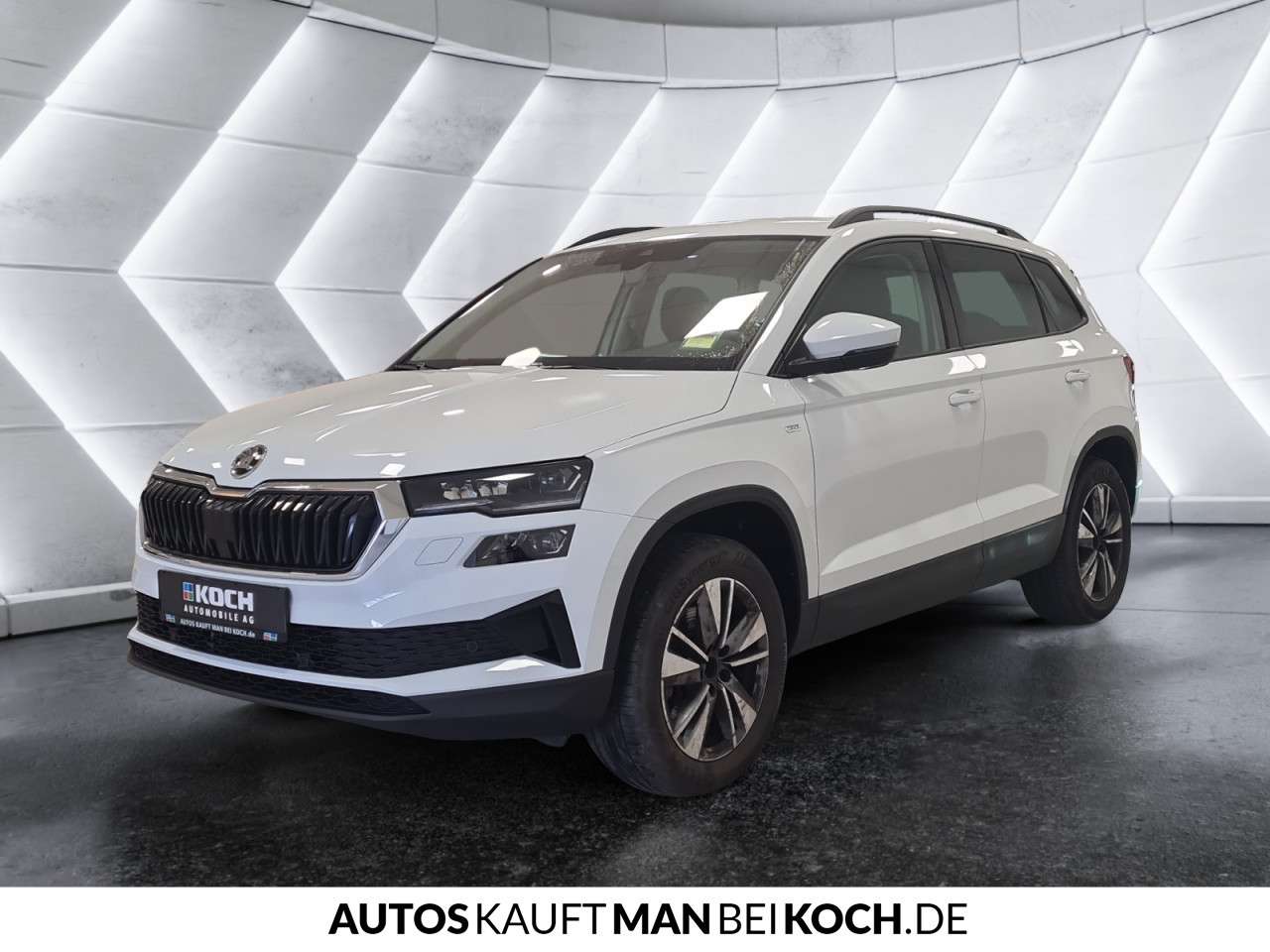 Fahrzeugbild eines Skoda Karoq