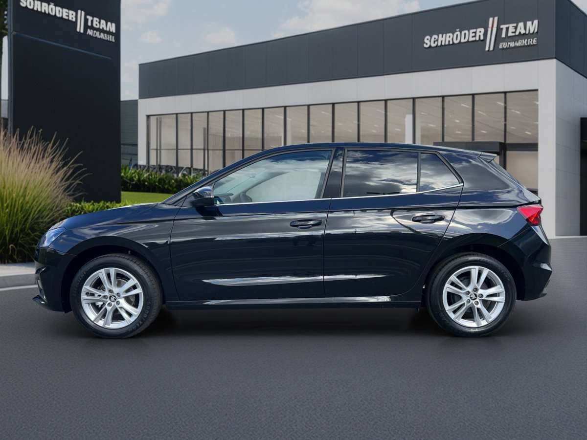 Fahrzeugbild eines Skoda Fabia