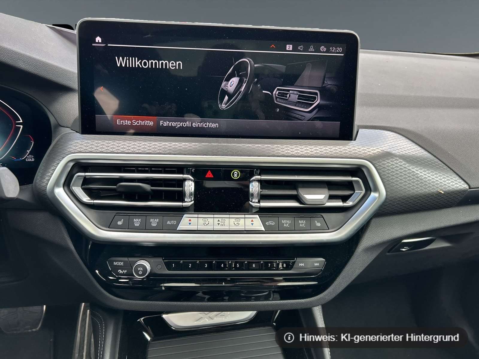 Fahrzeugbild eines BMW X4