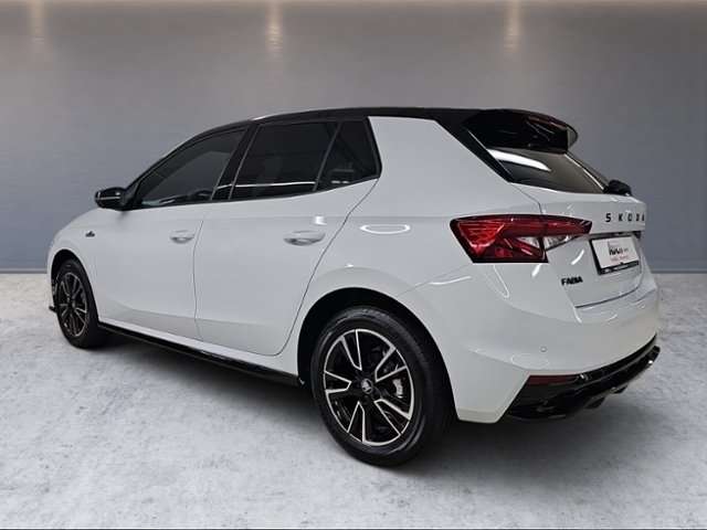 Fahrzeugbild eines Skoda Fabia