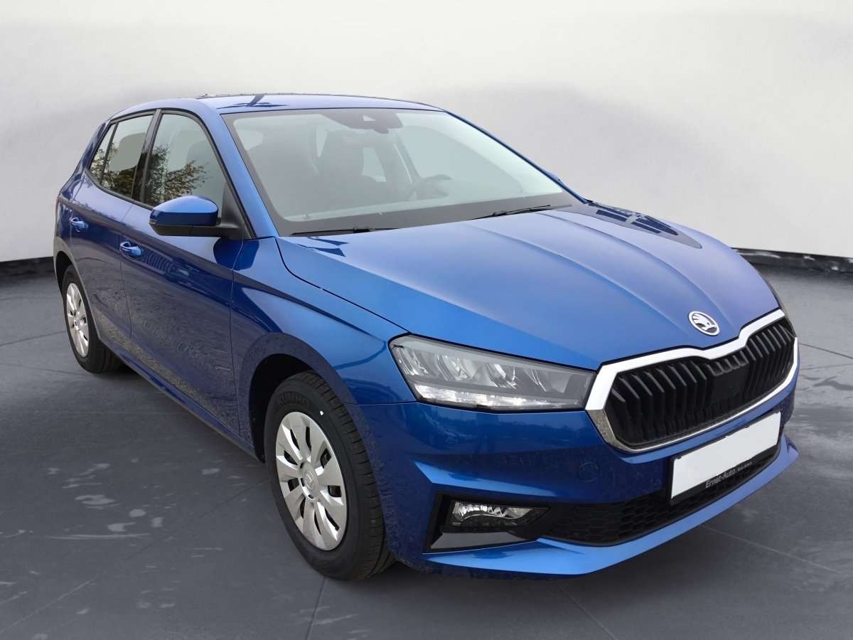 Fahrzeugbild eines Skoda Fabia