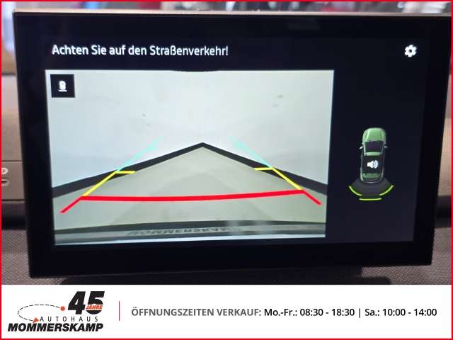 Fahrzeugbild eines Dacia Sandero