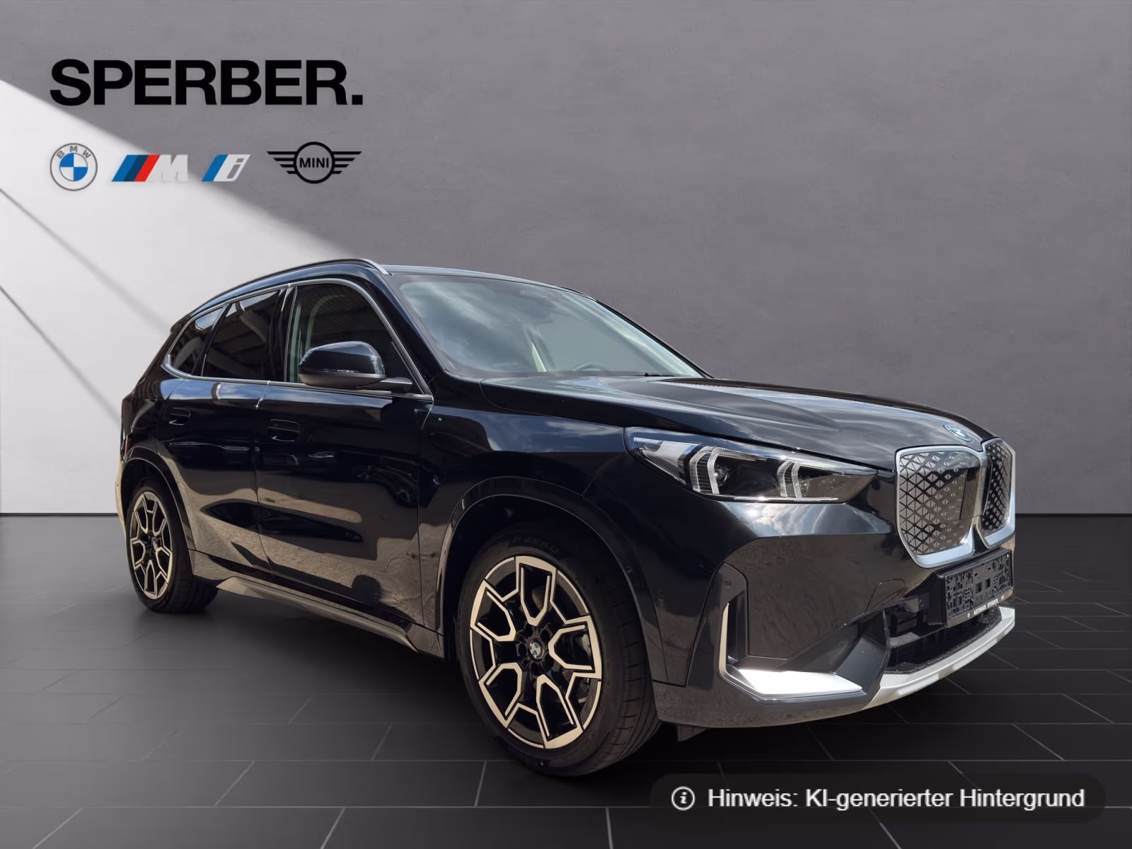 Fahrzeugbild eines BMW iX1