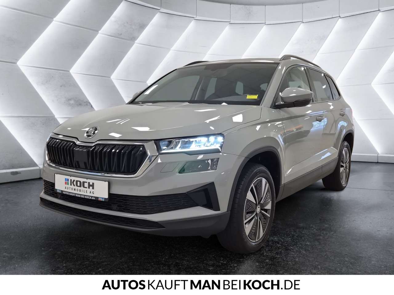 Fahrzeugbild eines Skoda Karoq