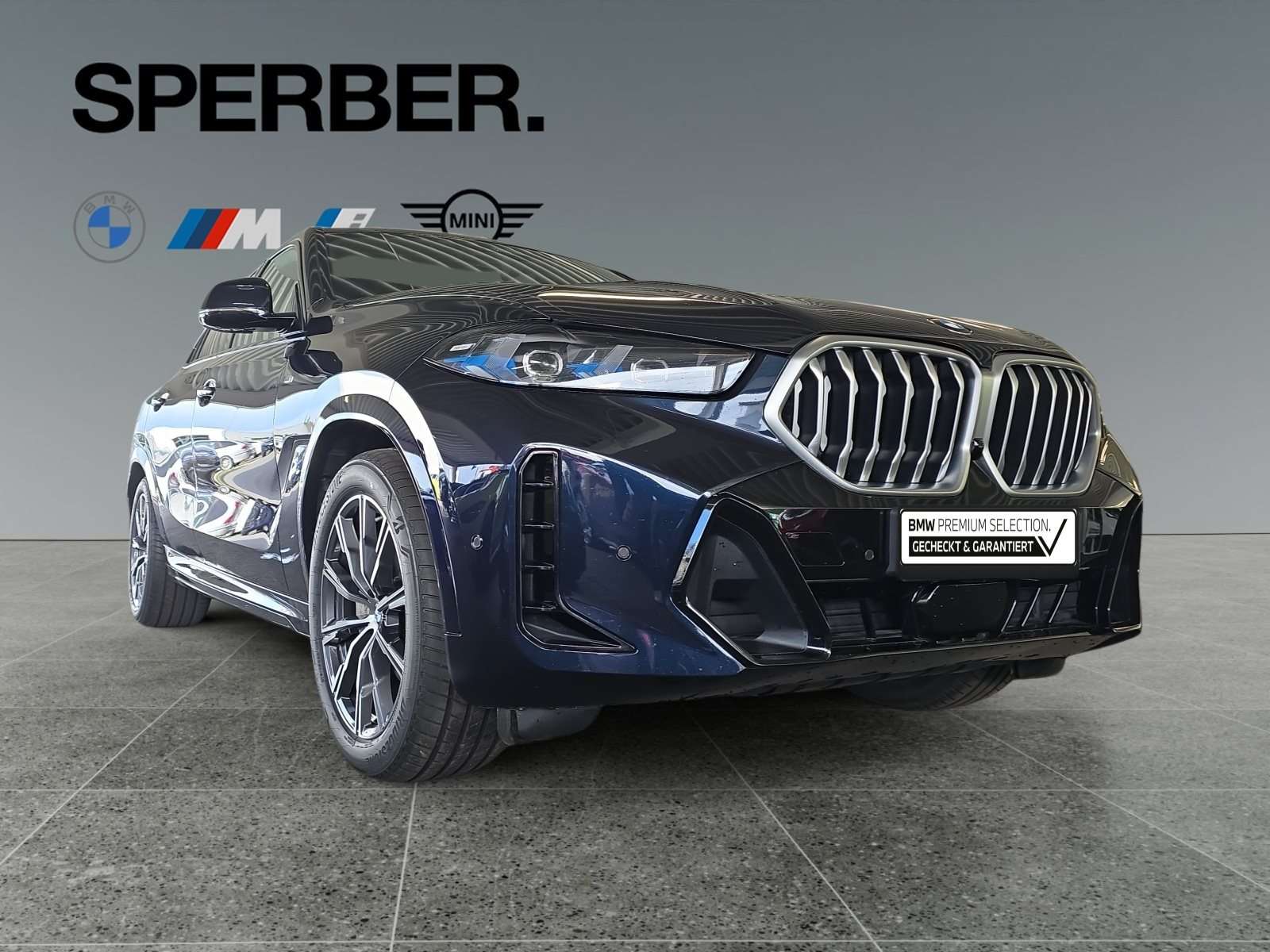 Fahrzeugbild eines BMW X6