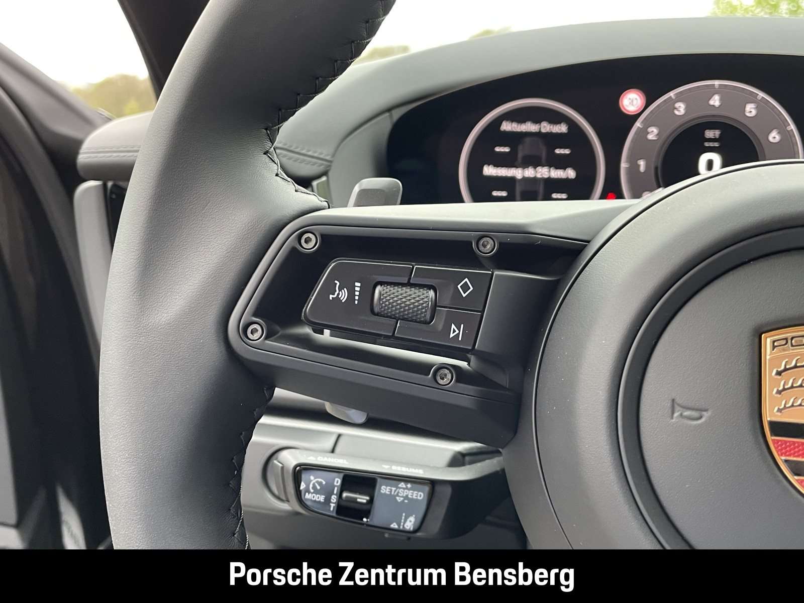 Fahrzeugbild eines Porsche Panamera