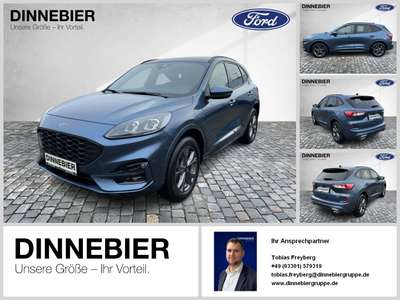 Bild Ford Kuga