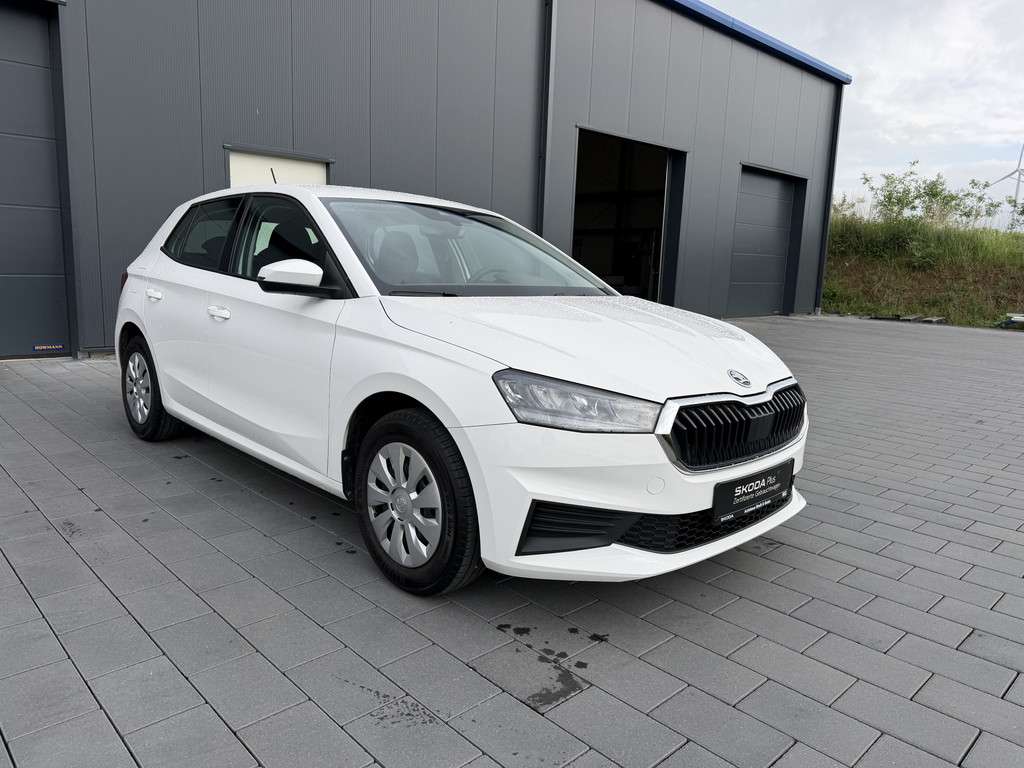 Fahrzeugbild eines Skoda Fabia