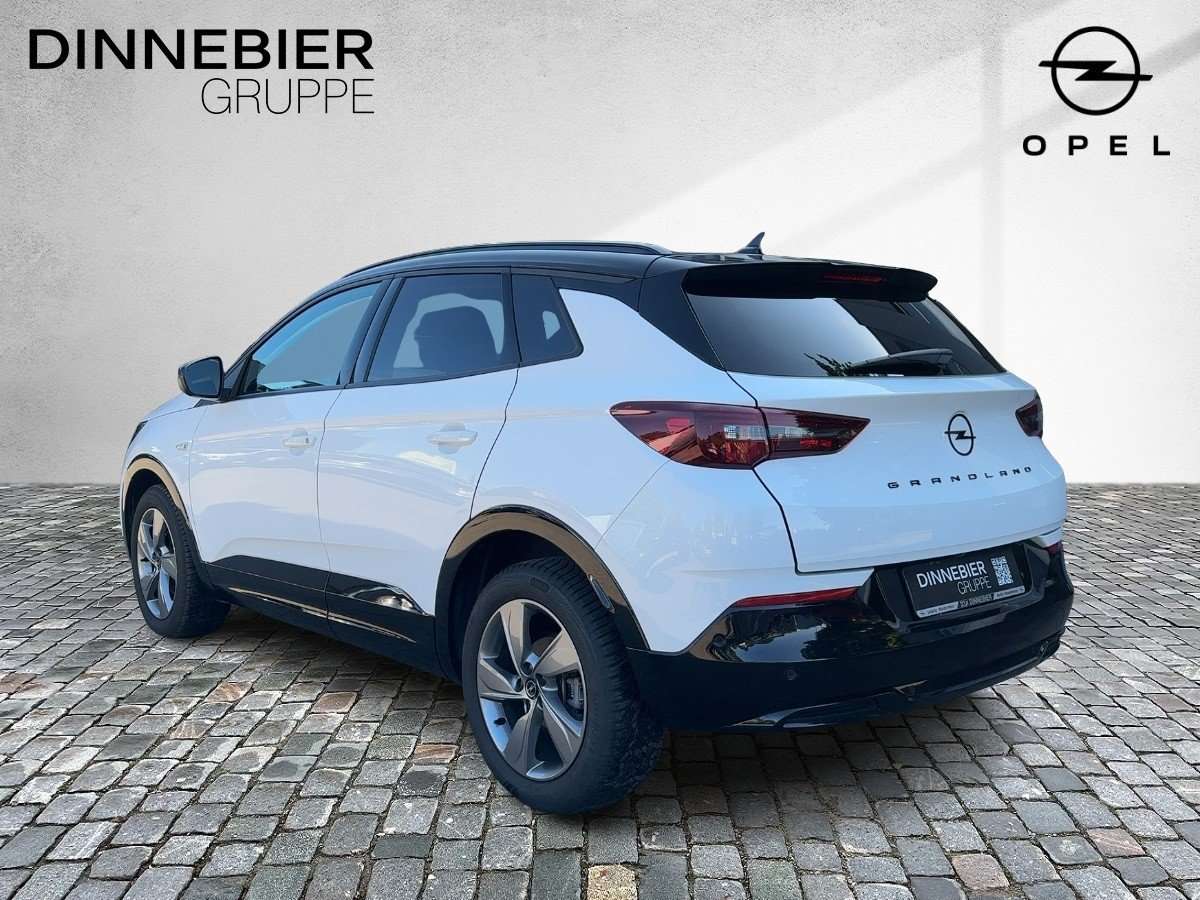 Fahrzeugbild eines Opel Grandland X