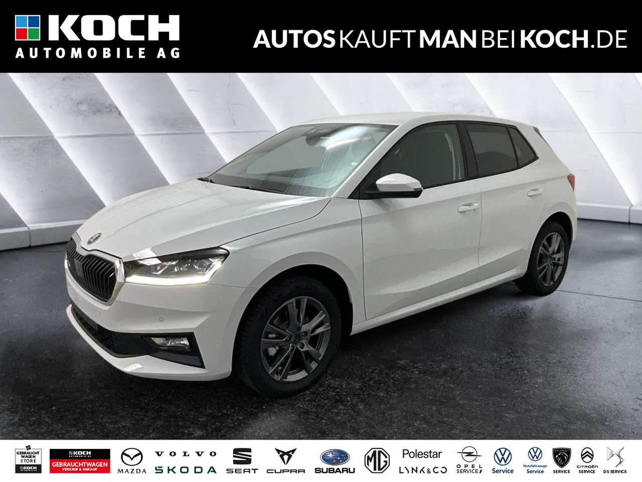 Fahrzeugbild eines Skoda Fabia