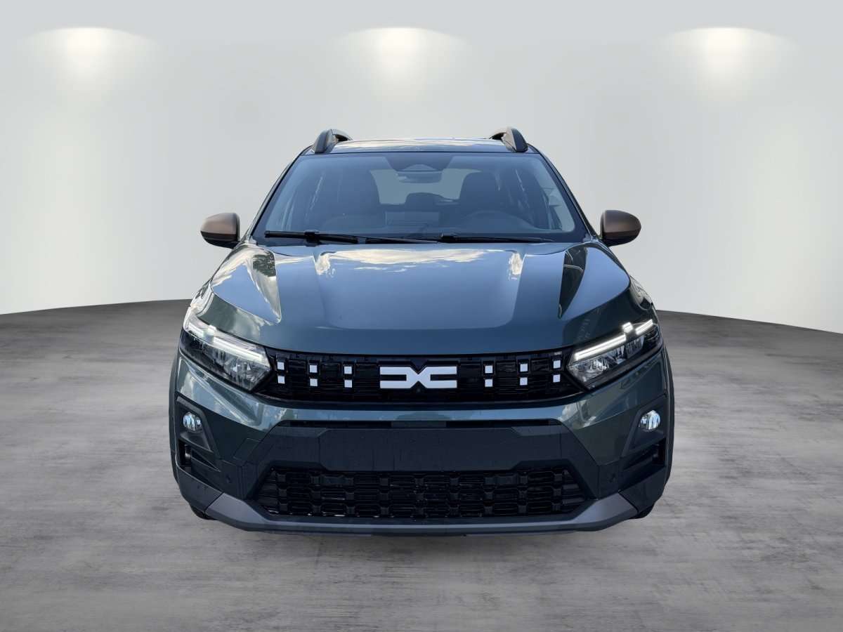 Fahrzeugbild eines Dacia Sandero