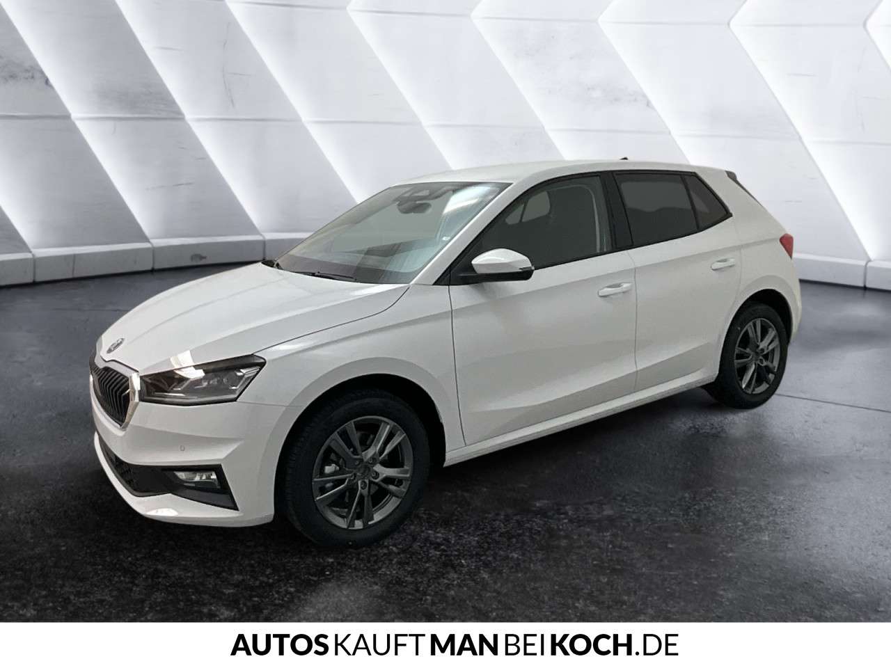 Fahrzeugbild eines Skoda Fabia