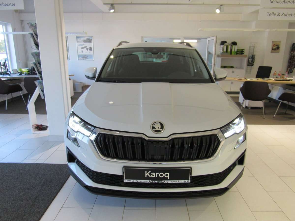 Fahrzeugbild eines Skoda Karoq