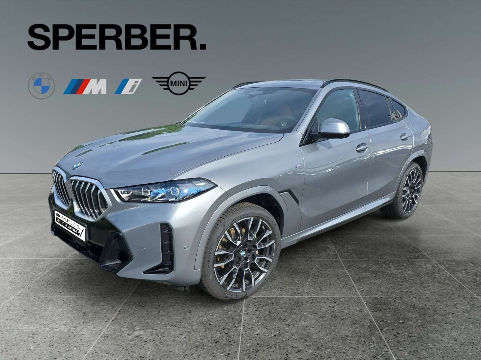 Fahrzeugbild eines BMW X6