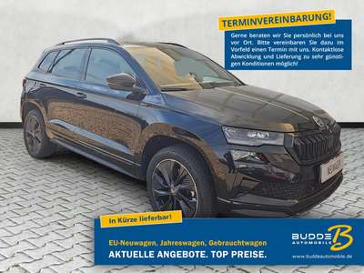 Bild Skoda Karoq