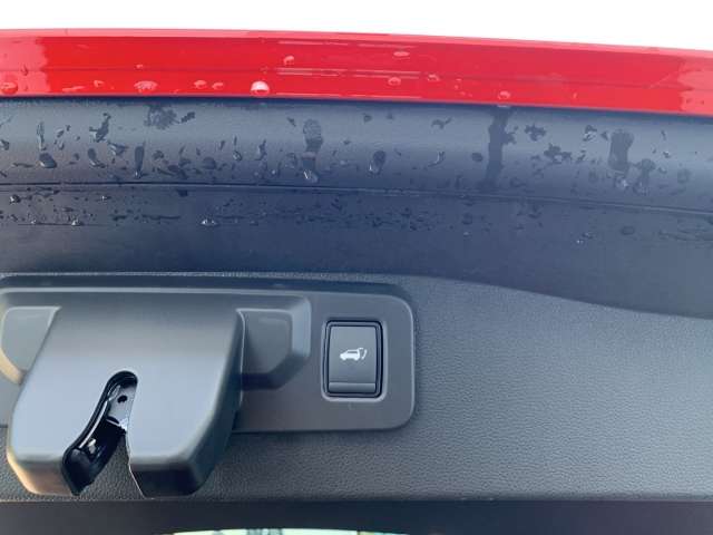 Fahrzeugbild eines Renault Austral