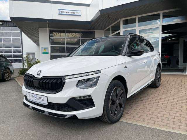 Fahrzeugbild eines Skoda Kamiq