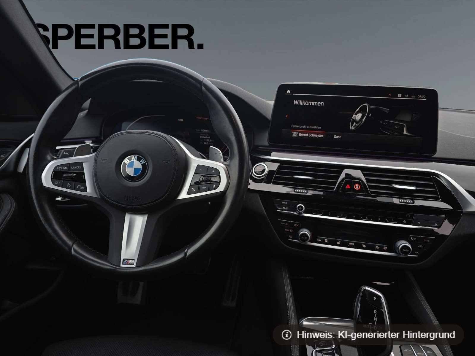 Fahrzeugbild eines BMW 5er-Reihe