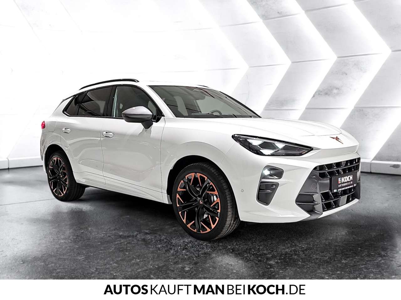 Fahrzeugbild eines CUPRA Terramar