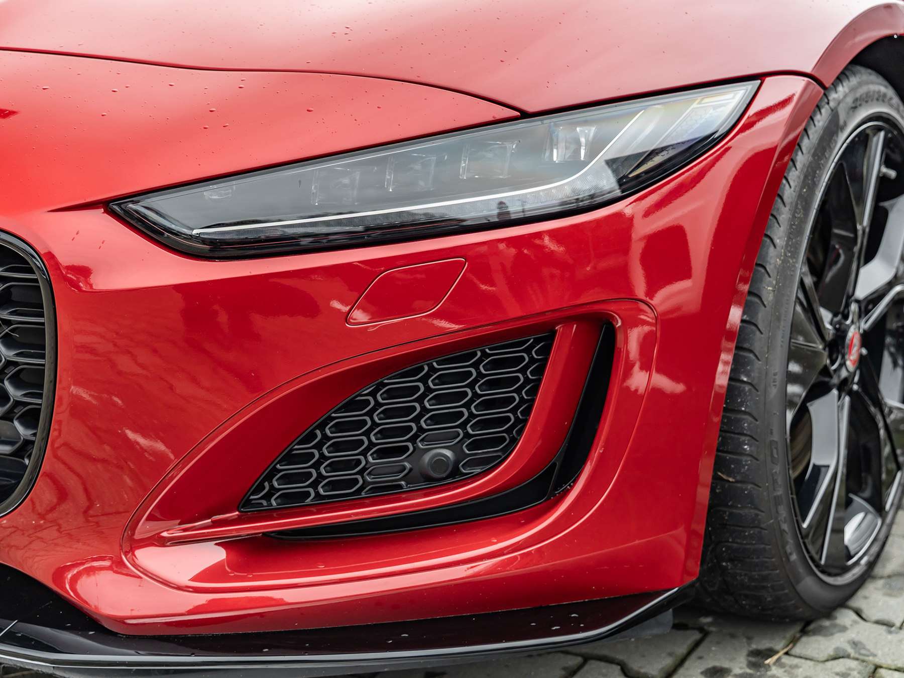 Fahrzeugbild eines Jaguar F-Type