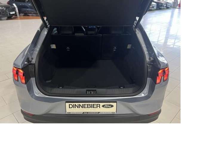 Fahrzeugbild eines Ford Mustang Mach-E