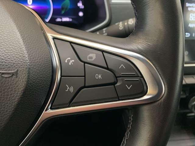 Fahrzeugbild eines Renault ZOE