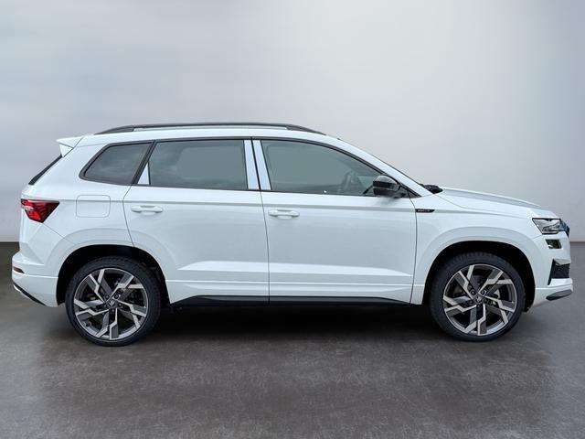 Fahrzeugbild eines Skoda Karoq