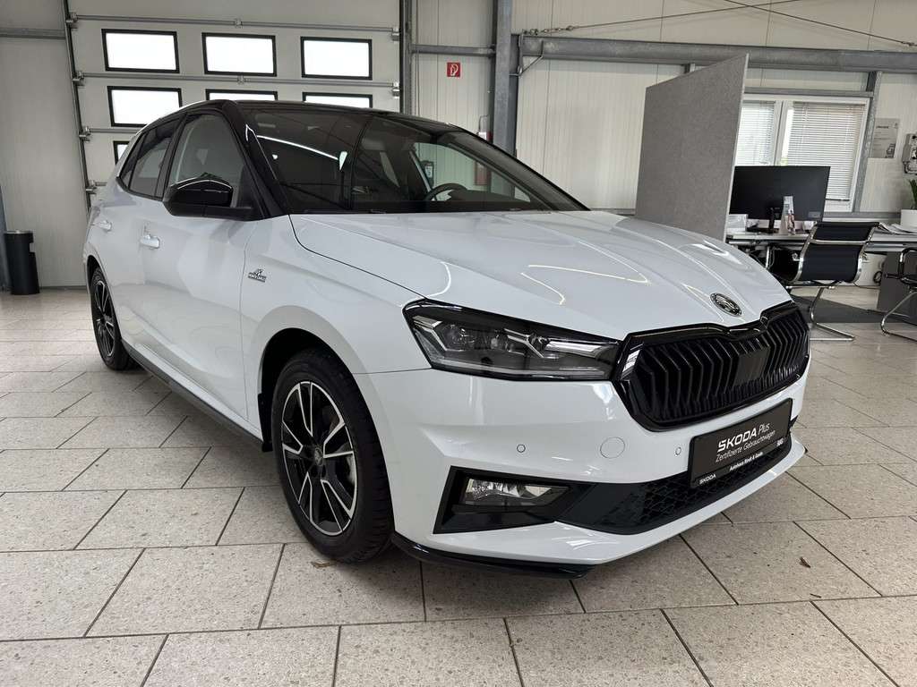 Fahrzeugbild eines Skoda Fabia