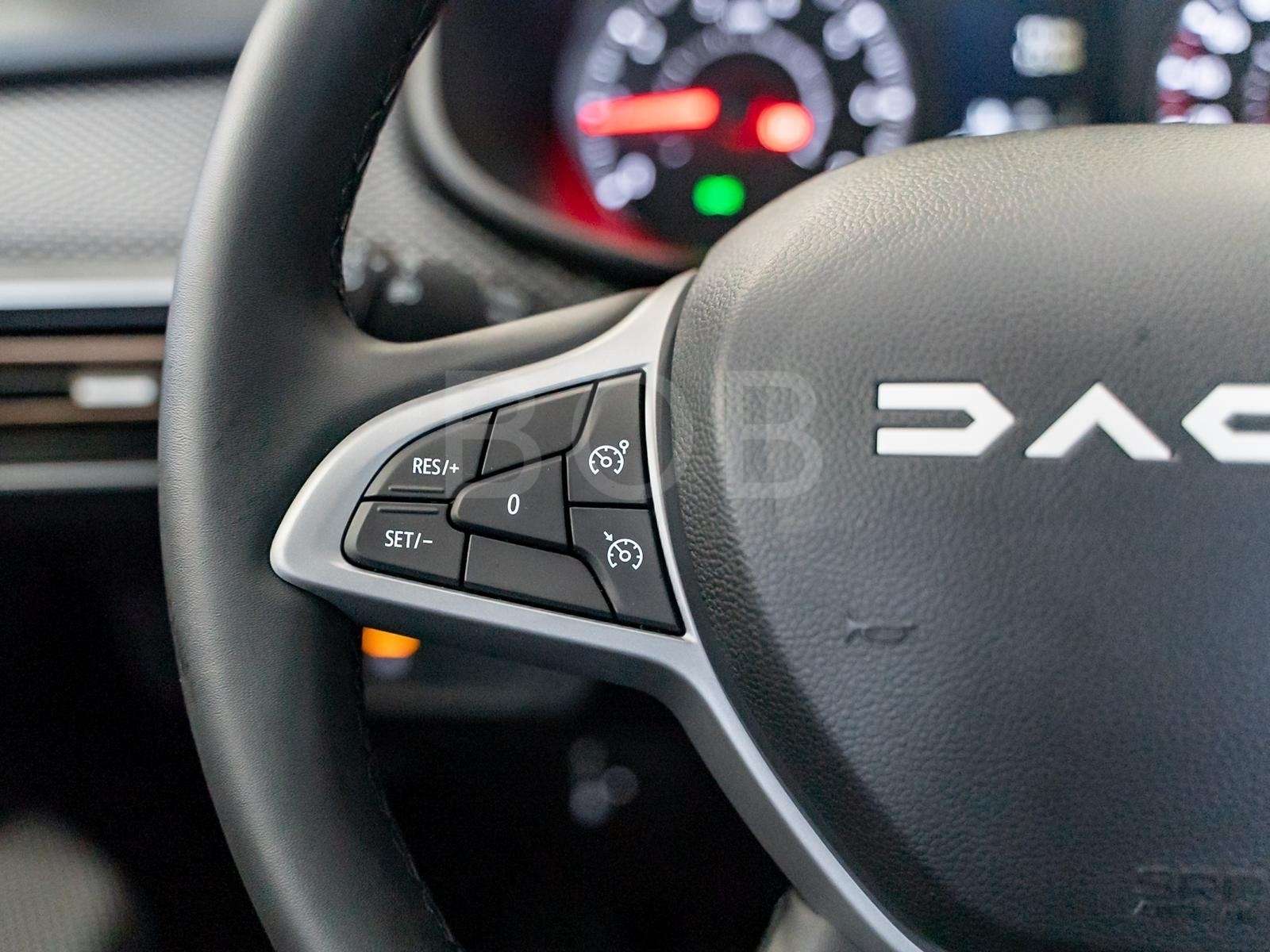 Fahrzeugbild eines Dacia Sandero