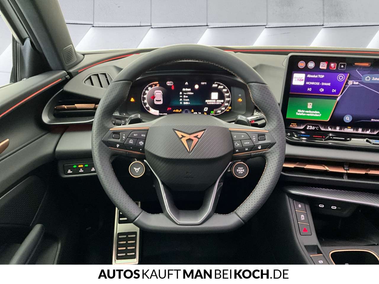 Fahrzeugbild eines CUPRA Terramar
