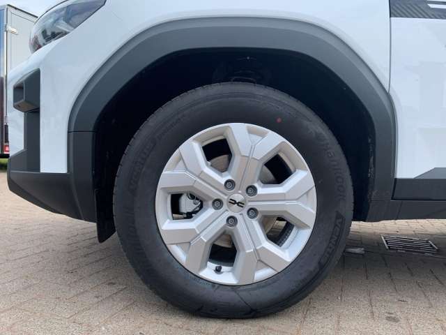 Fahrzeugbild eines Dacia Bigster