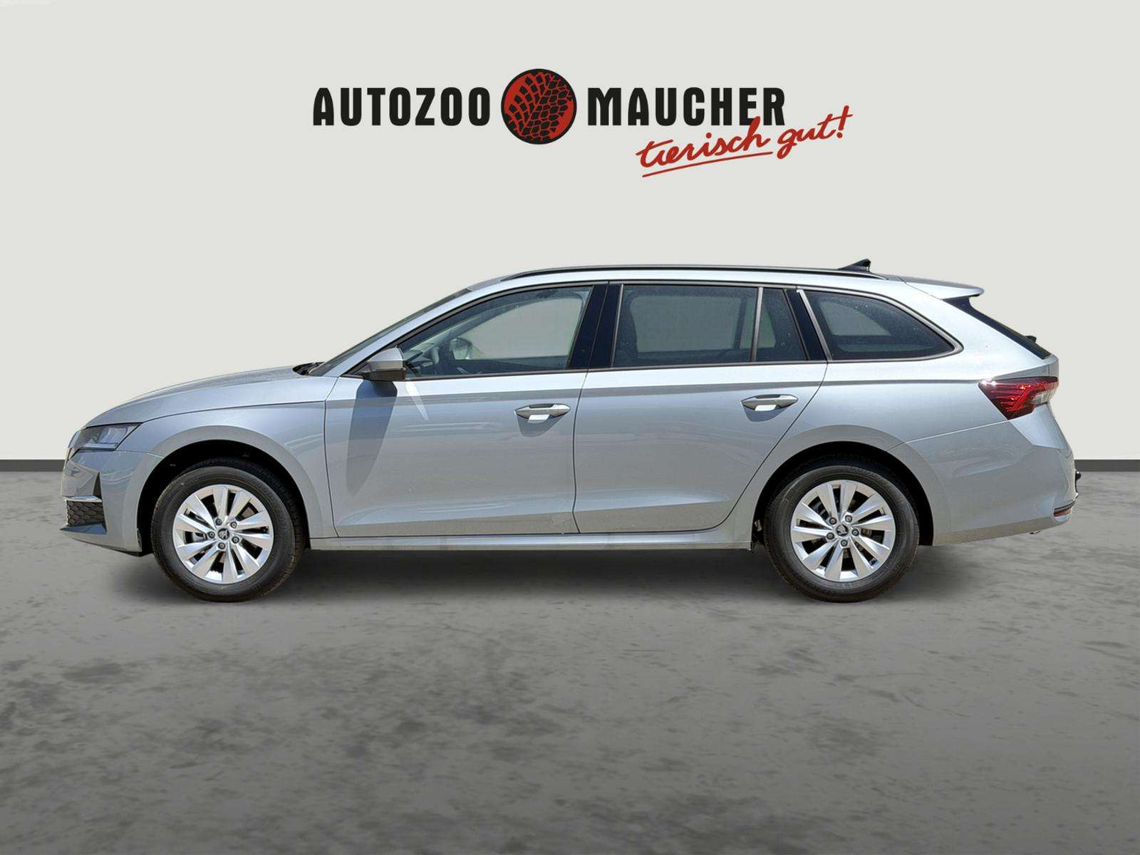 Fahrzeugbild eines Skoda Octavia
