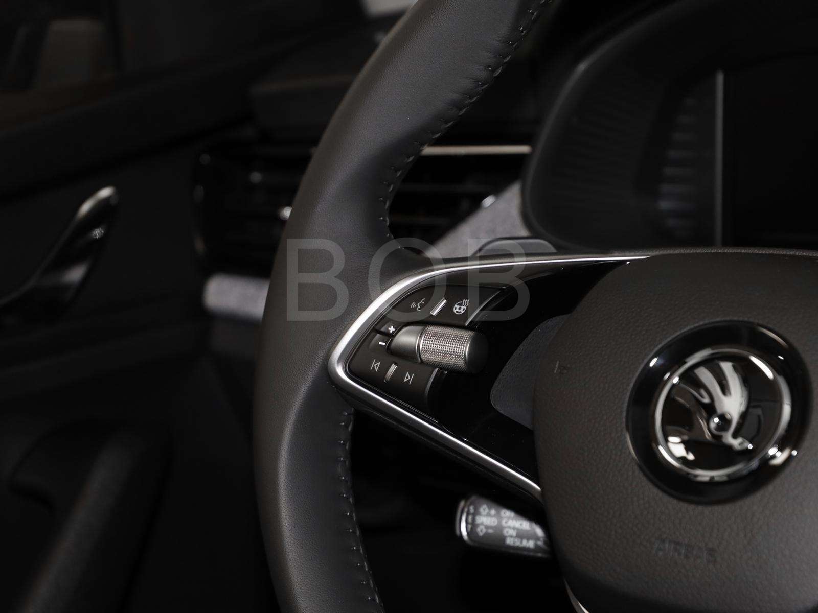 Fahrzeugbild eines Skoda Scala