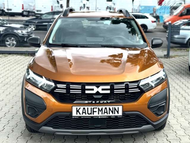 Fahrzeugbild eines Dacia Sandero