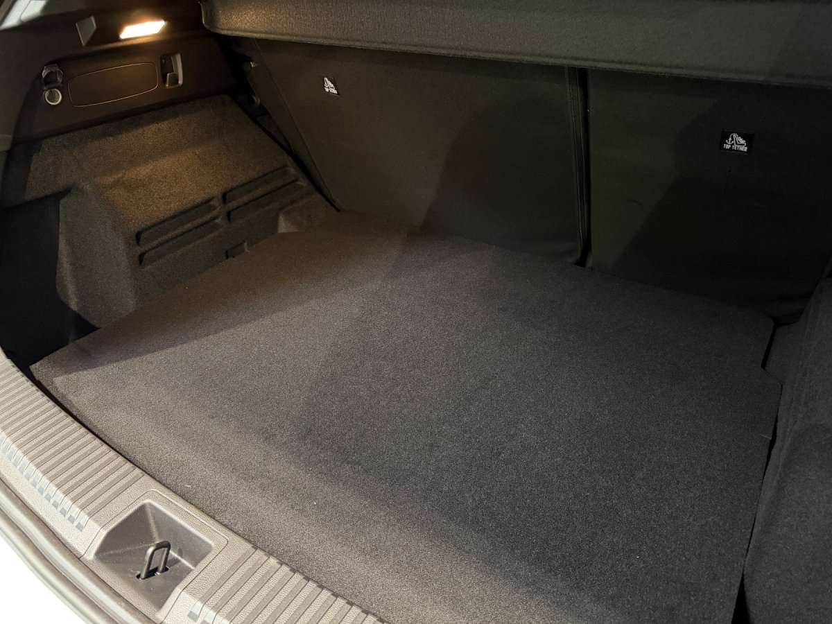 Fahrzeugbild eines Renault Austral
