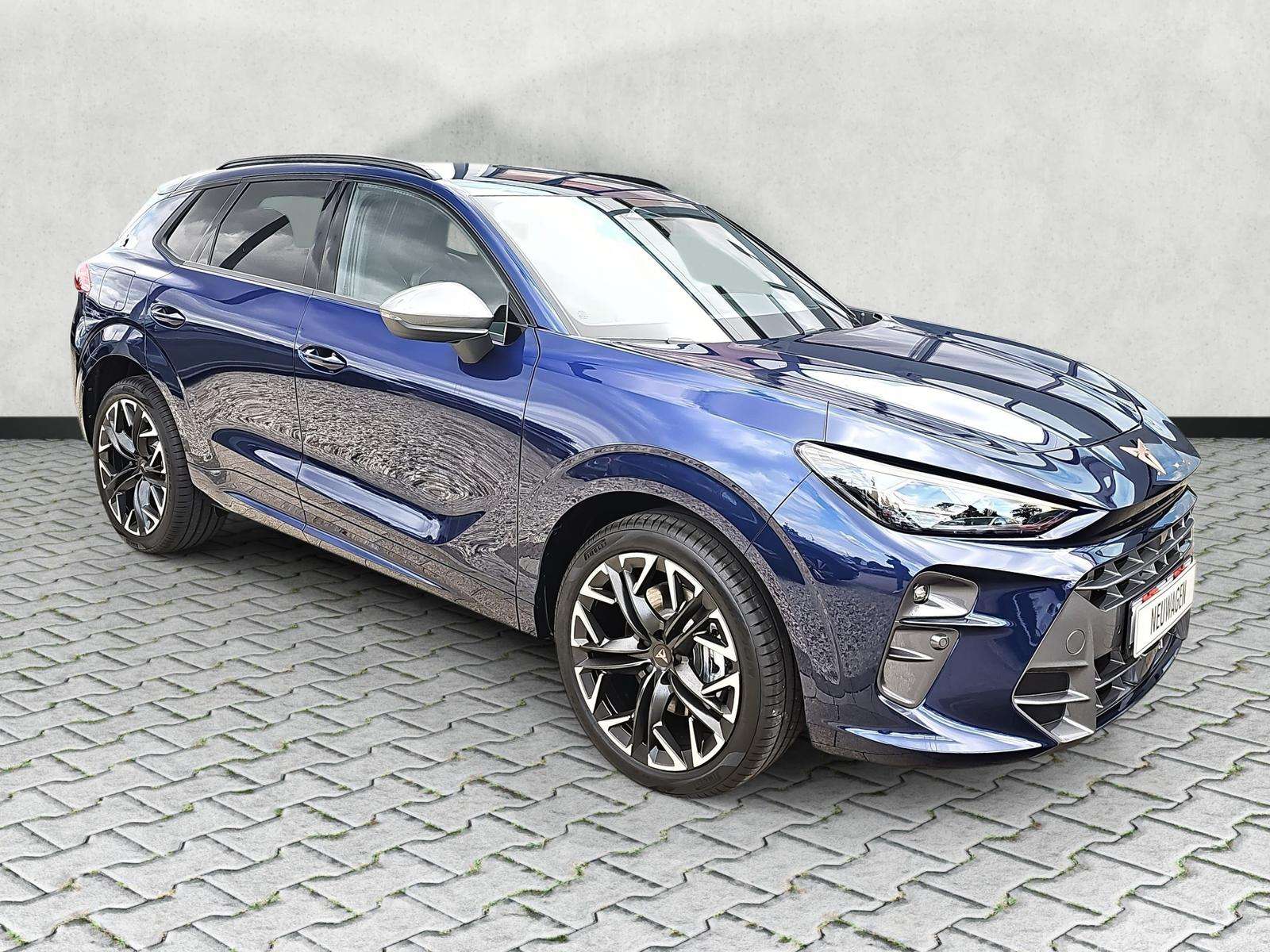 Fahrzeugbild eines CUPRA Terramar