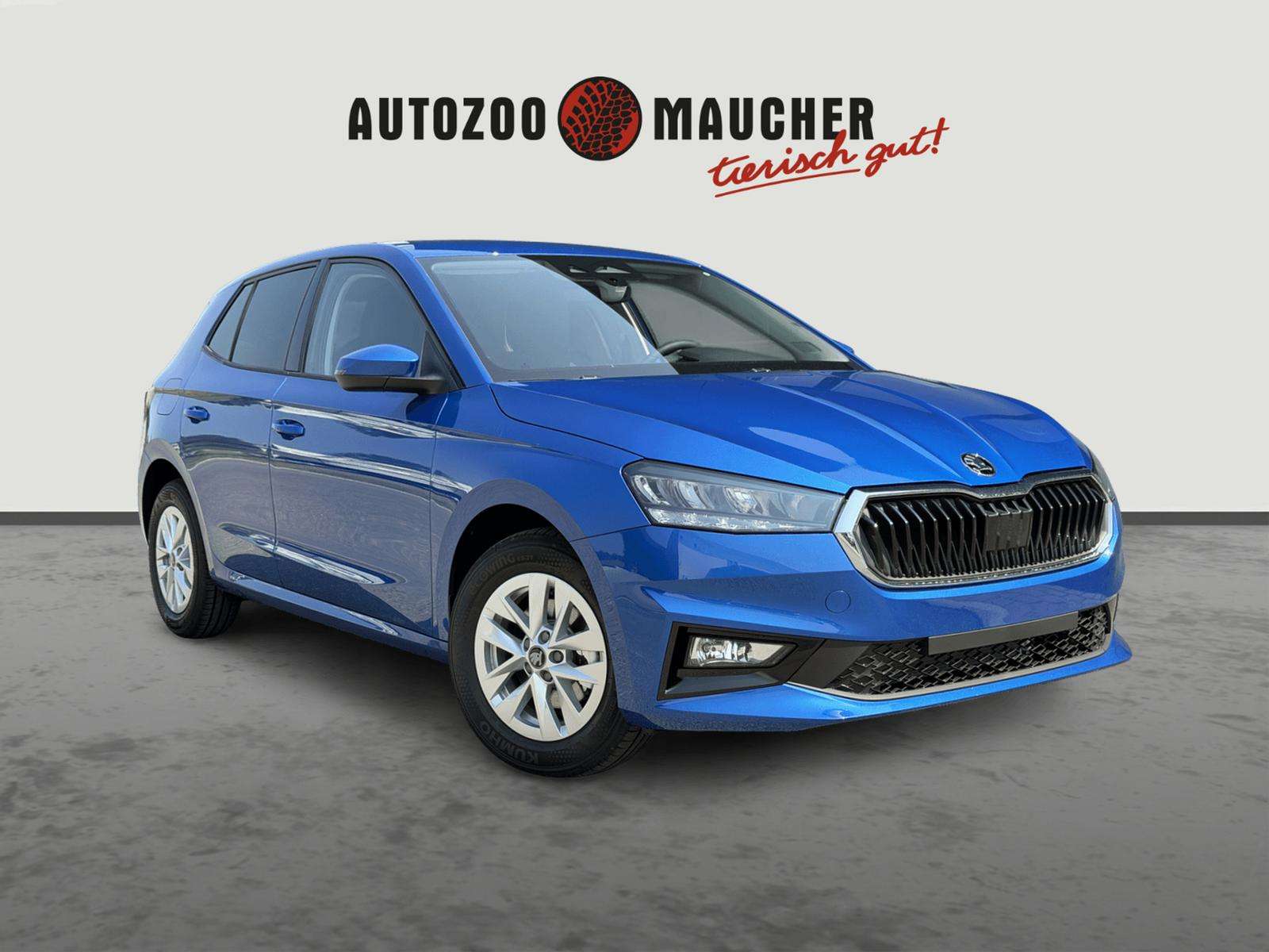 Fahrzeugbild eines Skoda Fabia