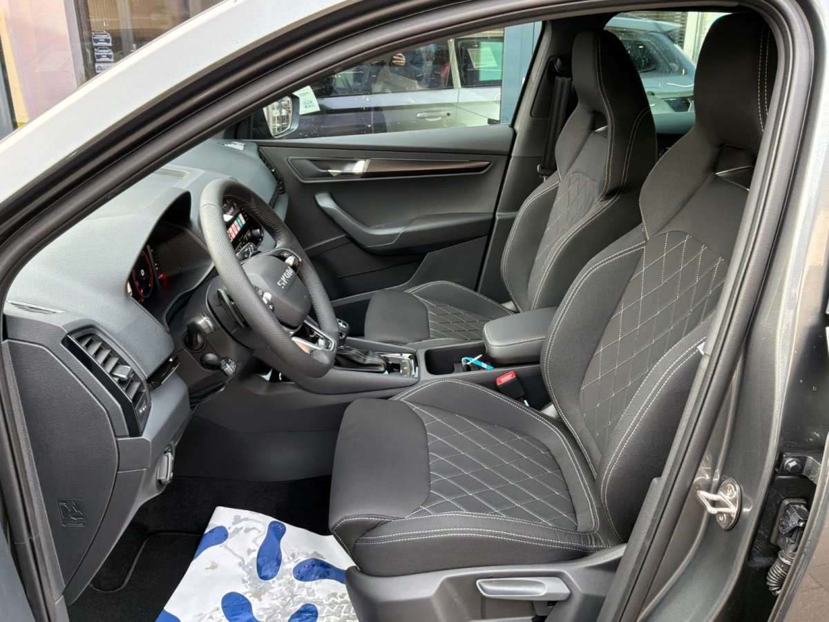 Fahrzeugbild eines Skoda Karoq