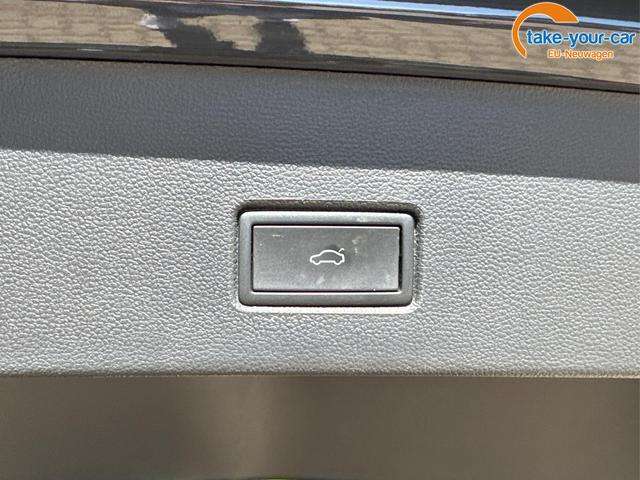 Fahrzeugbild eines Volkswagen T-Roc