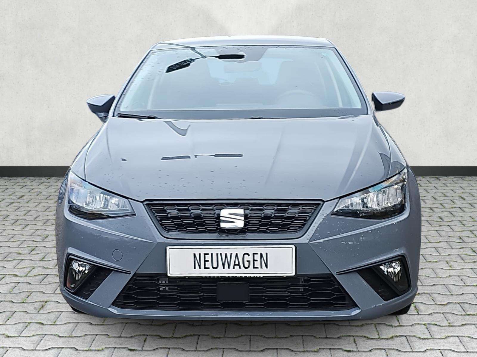Fahrzeugbild eines SEAT Ibiza
