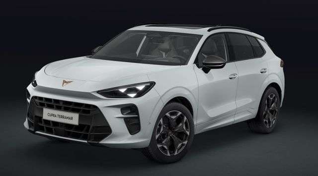 Fahrzeugbild eines CUPRA Terramar