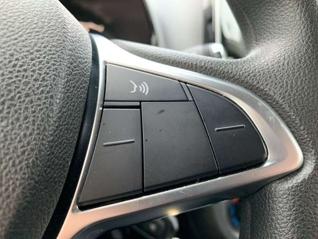 Fahrzeugbild eines Dacia Spring