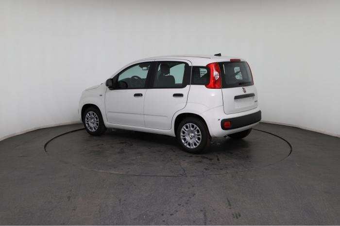 Fahrzeugbild eines Fiat Panda