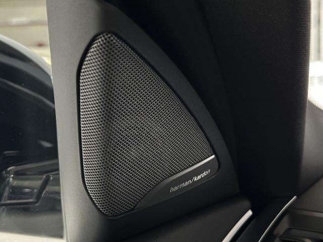 Fahrzeugbild eines BMW X4