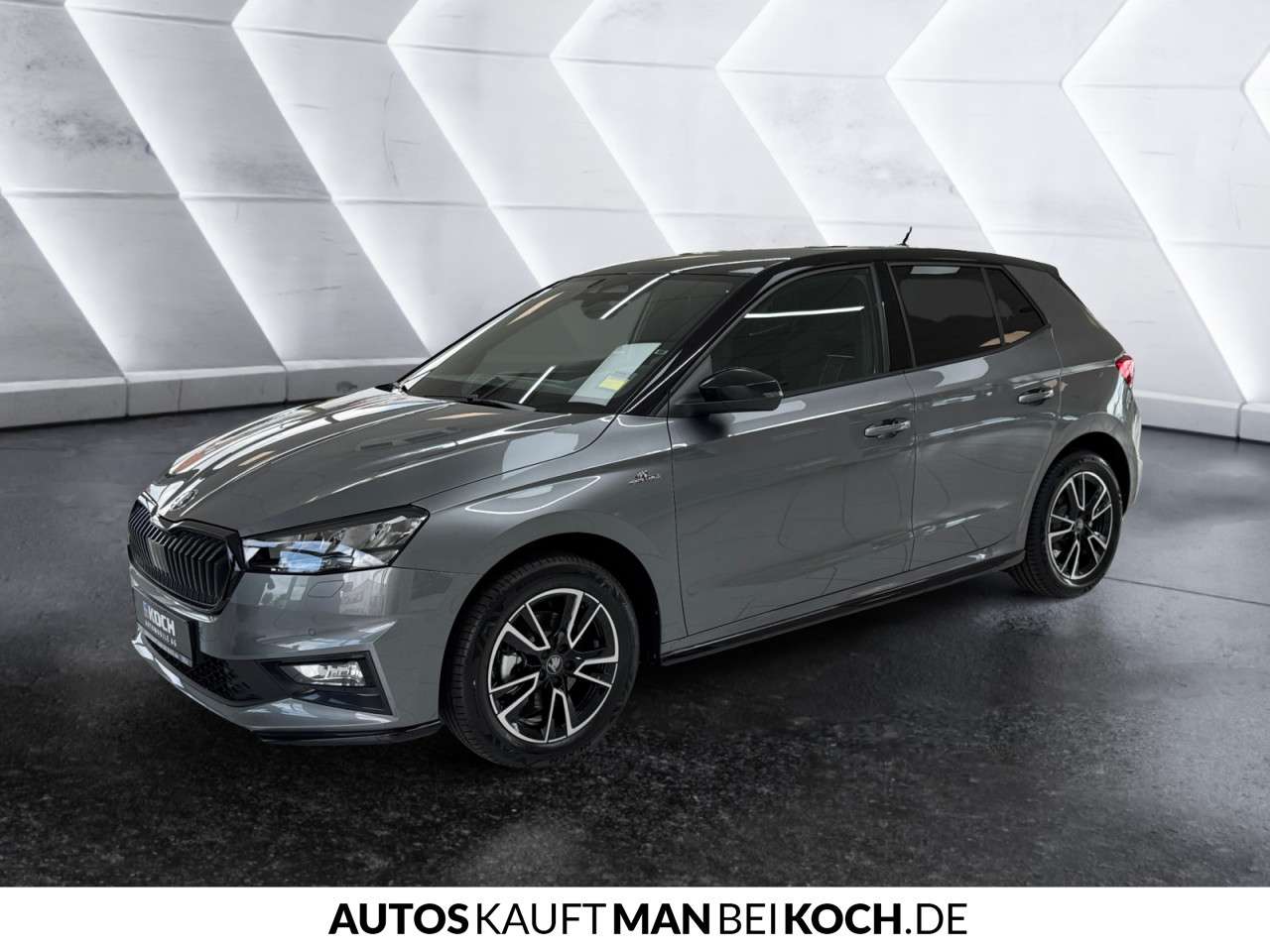 Fahrzeugbild eines Skoda Fabia