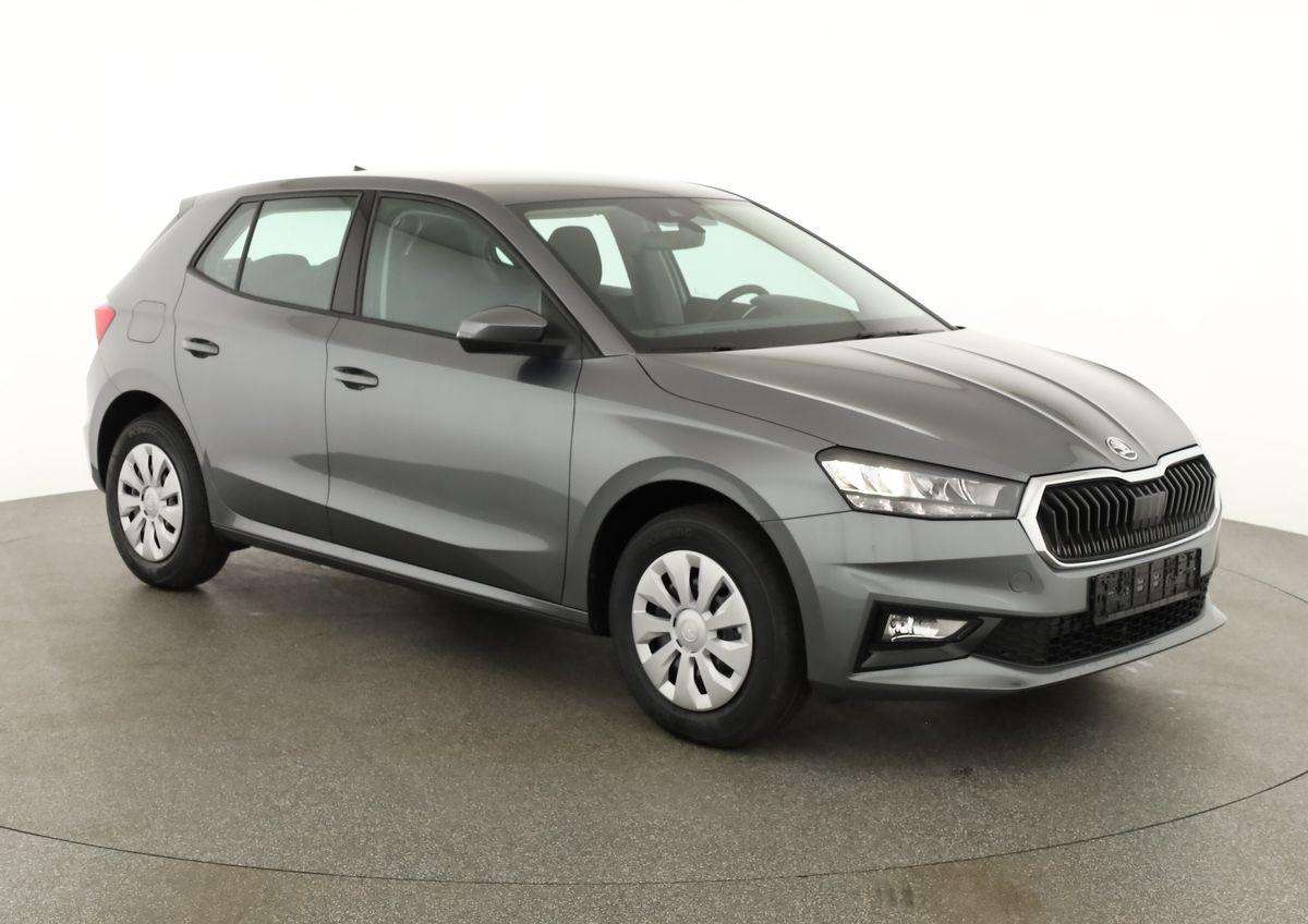 Fahrzeugbild eines Skoda Fabia