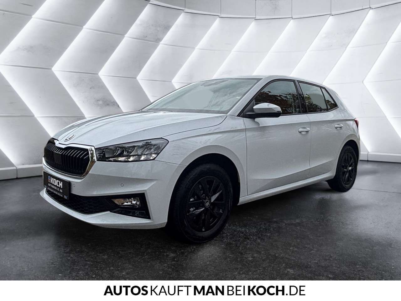 Fahrzeugbild eines Skoda Fabia