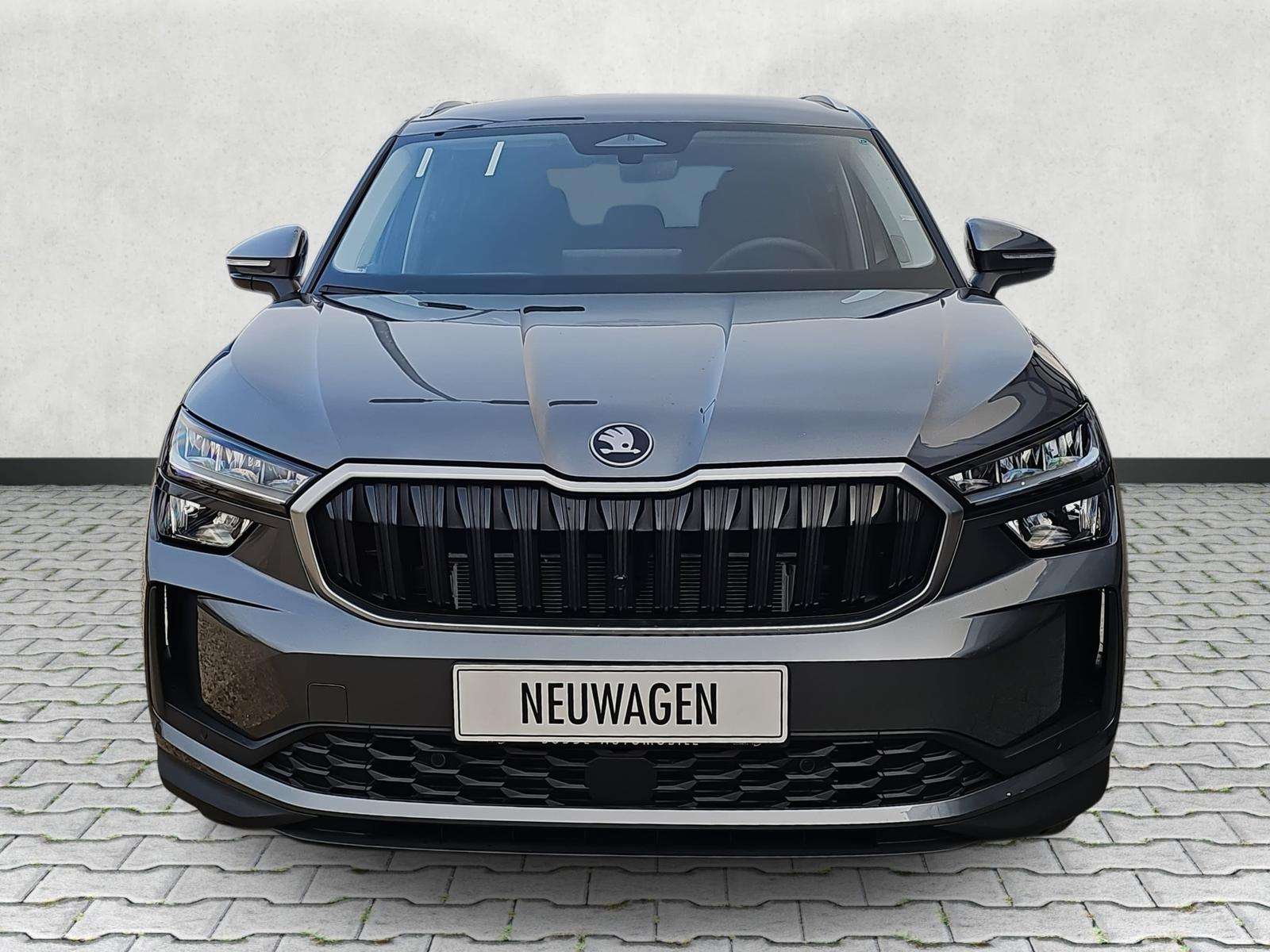 Fahrzeugbild eines Skoda Kodiaq